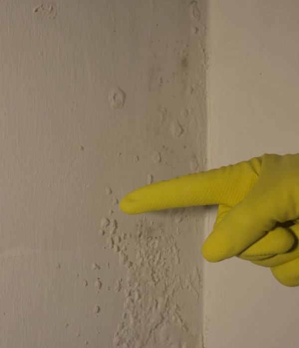 LONDON DAMP PROOFING | RISING DAMP & DAMP PROOFING | DRY ROT | CONDENSATION | WOOD WORM | WATER PROOFING AND TANKING