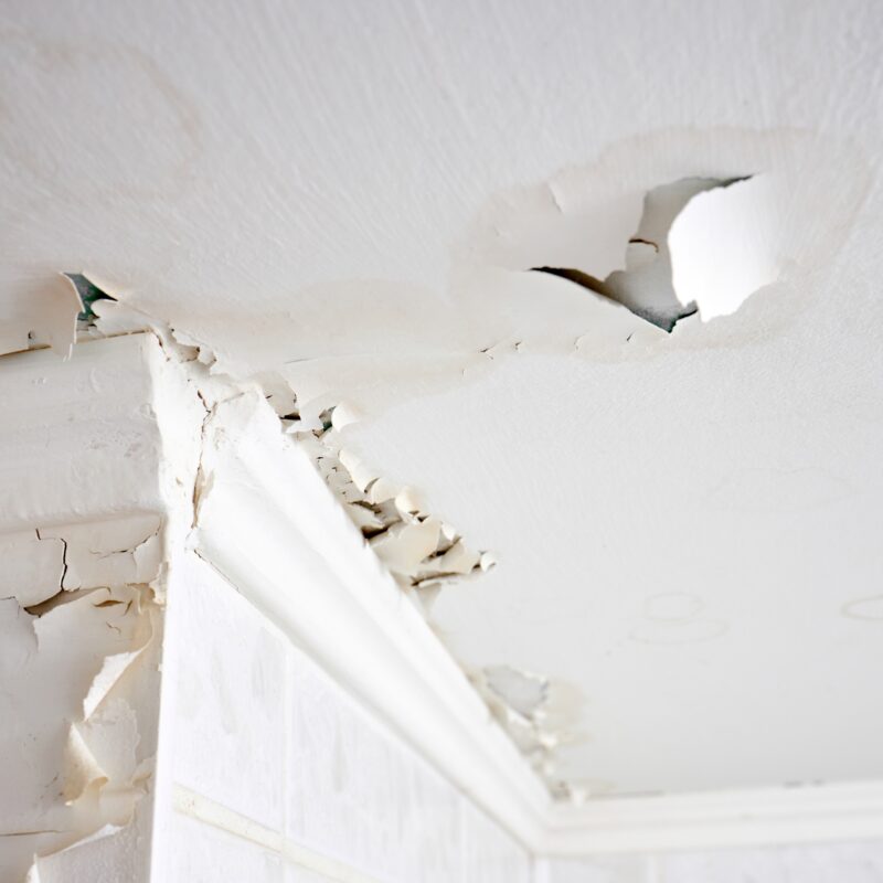 Damp Specialist in East London